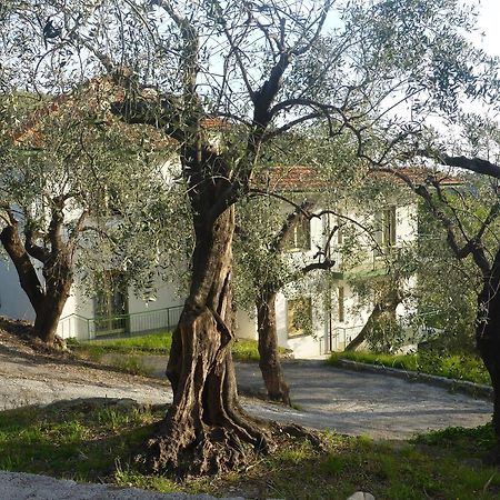 Villaggio Rta Borgoverde Imperia Exteriör bild